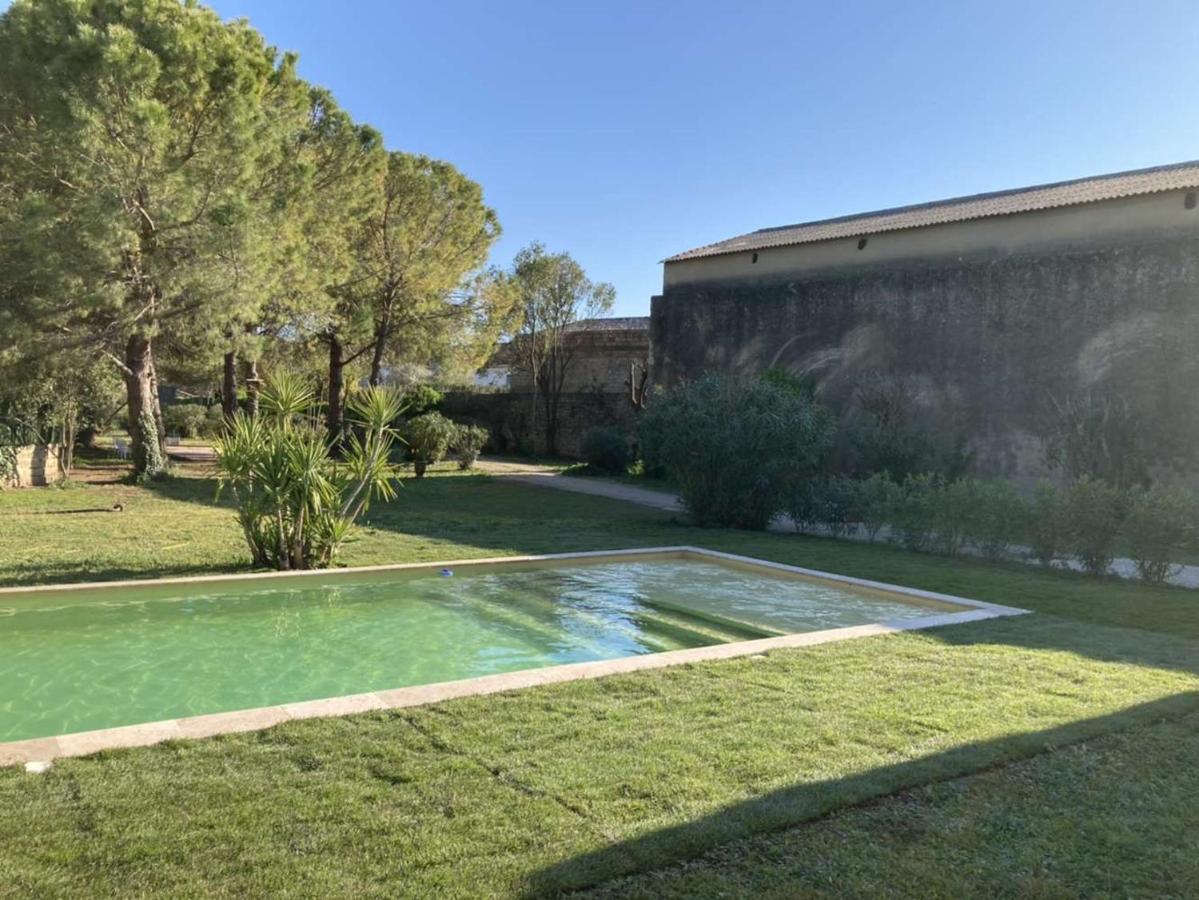 Le Patio, Chambres D Hotes Pour Adultes En Camargue, Possibilite De Naturisme A La Piscine, Aimargues Εξωτερικό φωτογραφία
