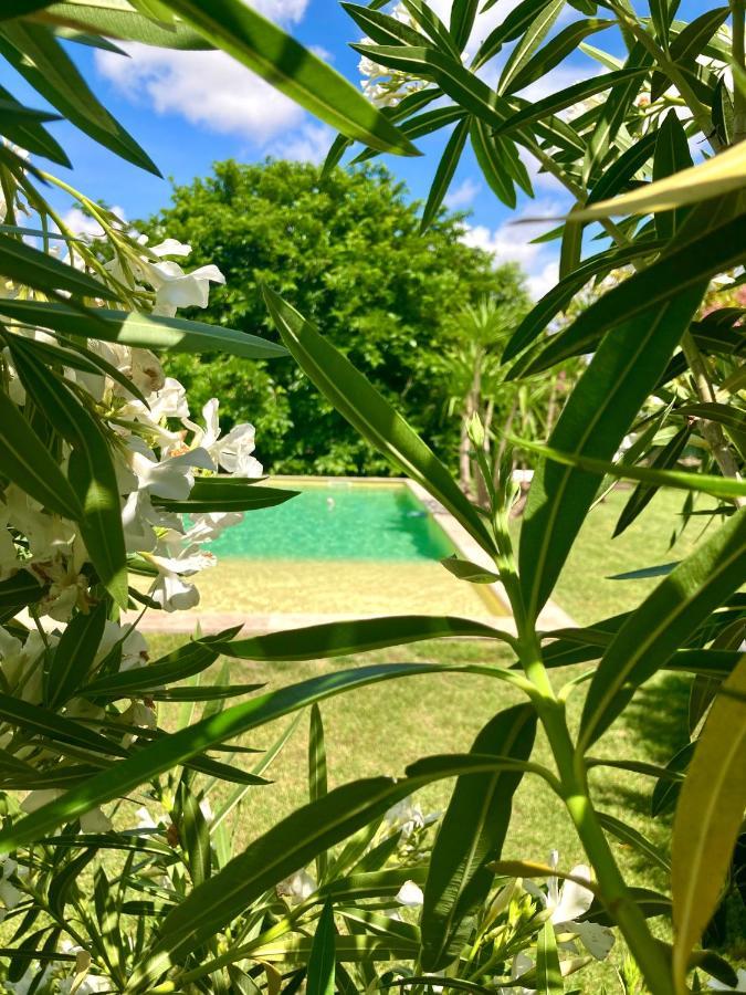 Le Patio, Chambres D Hotes Pour Adultes En Camargue, Possibilite De Naturisme A La Piscine, Aimargues Εξωτερικό φωτογραφία